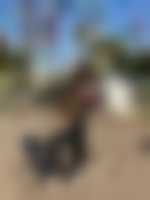 Member's photo