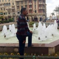 صورة العضو