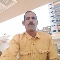 صورة العضو